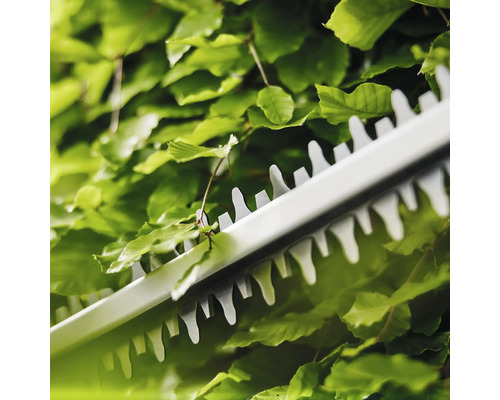 Nahaufnahme einer Heckenschere beim Schneiden einer Hecke