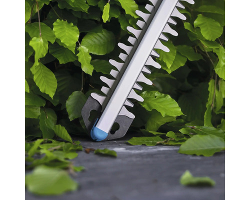 Nahaufnahme einer Heckenschere vor einer grünen Hecke