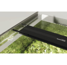 Aquarium mit Aquarienleuchte