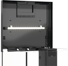 Innenansicht eines Aquariums mit Beleuchtung