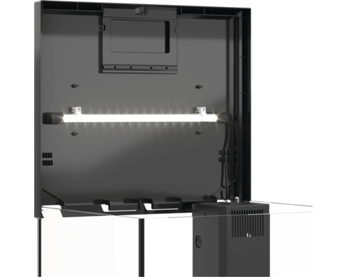 Innenansicht eines Aquariums mit Beleuchtung