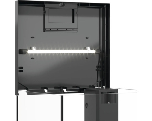 Innenansicht eines Aquariums mit Beleuchtung