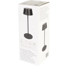 Verpackung einer LED Solar Akku Tischleuchte