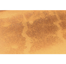 Nahaufnahme einer strukturierten Oberfläche