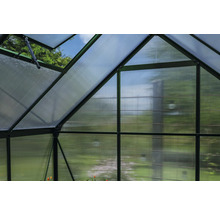 Innenansicht eines Gewächshauses mit Polycarbonatplatten