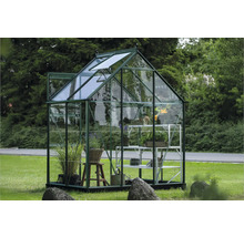 Gewächshaus mit Pflanzen und Regal auf einer Wiese