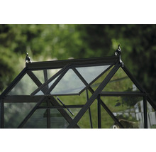 Detailansicht eines Gewächshauses mit geöffnetem Fenster und dekorativen Elementen auf dem Dach