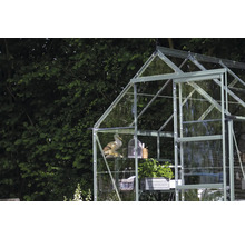 Gewächshaus mit Regalen, Dekoration und Pflanzen