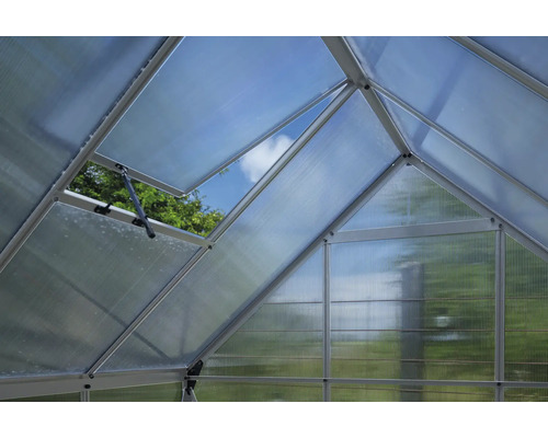 Innenansicht eines Gewächshauses mit geöffnetem Fenster