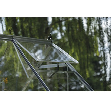 Detailansicht des geöffneten Fensters eines Gewächshauses.