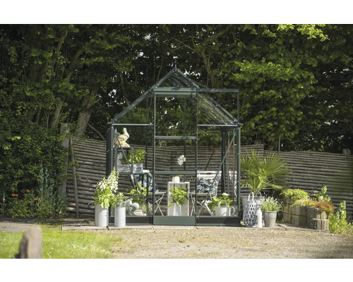 Gewächshaus im Garten mit Pflanzen und Dekoration