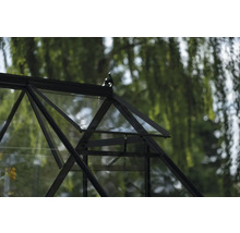 Detailansicht eines Gewächshauses mit geöffnetem Fenster zur Belüftung.