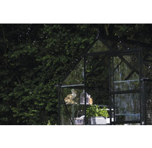 Gewächshaus mit Dekorationen und Pflanzen im Garten.