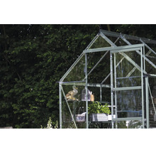 Gewächshaus mit Glaswänden und Regalen, dekoriert mit Pflanzen und Gartenzubehör.