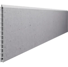 Kunststoffpaneel mit Betonoptik