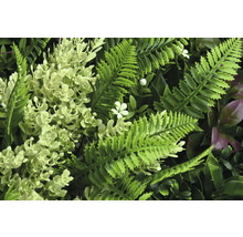 Künstliche Pflanzenwand mit Farn und Blüten