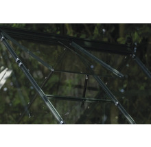 Nahaufnahme eines Gewächshausfensters