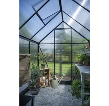 Innenansicht eines Gewächshauses mit Pflanzen und Gartenzubehör