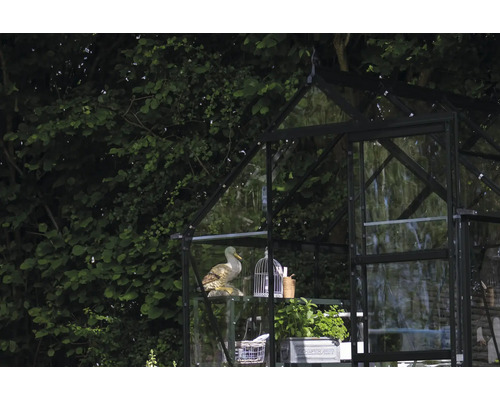 Gewächshaus mit Dekorationen und Pflanzen