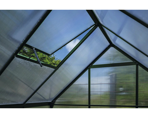 Innenansicht eines Gewächshauses mit geöffnetem Fenster