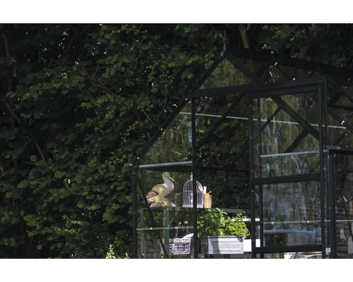 Gewächshaus mit Regalen und Dekorationen im Garten.