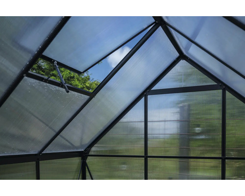 Innenansicht eines Gewächshauses mit geöffnetem Fenster zur Belüftung