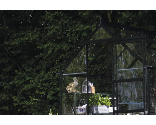 Gewächshaus mit Regalen, Dekorationen und Pflanzen