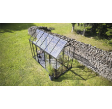 Gewächshaus auf einer Wiese mit einem Holzstapel im Hintergrund.