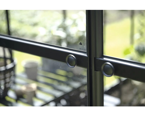 Detailaufnahme eines Gewächshausfensters mit runden Beschlägen