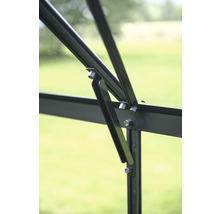 Detailaufnahme eines Gewächshausfensters mit schwarzem Rahmen