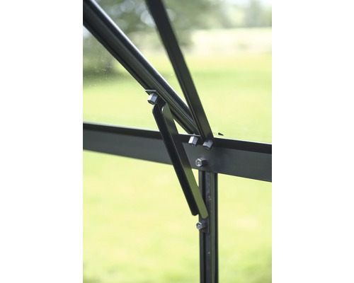 Detailaufnahme eines Gewächshausfensters mit schwarzem Rahmen