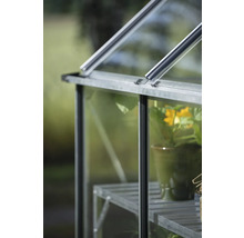 Detailansicht eines Gewächshauses mit Pflanze im Topf auf einem Regal