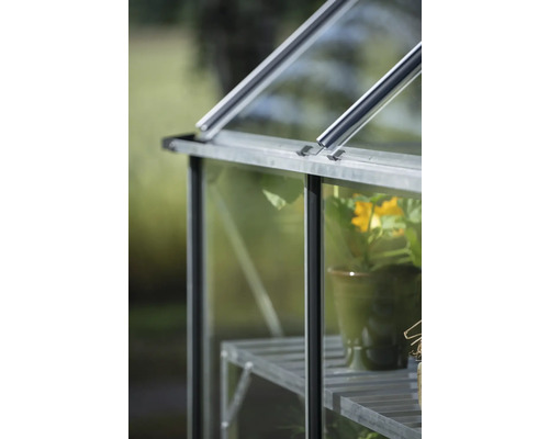 Detailansicht eines Gewächshauses mit Pflanze im Topf auf einem Regal