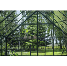 Gewächshausinneneinrichtung mit Pflanze, Garn und Gartengeräten auf einem Regal