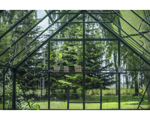 Gewächshausinneneinrichtung mit Pflanze, Garn und Gartengeräten auf einem Regal