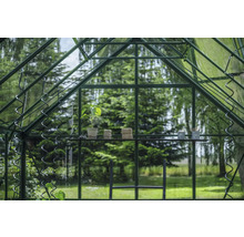 Innenansicht eines Gewächshauses mit Pflanze, Garnrollen und Gartengeräten auf einem Regal.