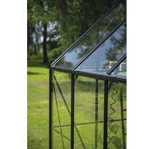 Detailansicht eines Gewächshauses mit Glaswänden und dunklem Rahmen im Garten.
