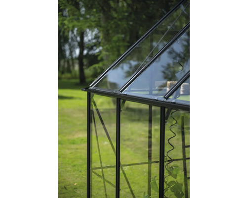 Detailansicht eines Gewächshauses mit Glaswänden und dunklem Rahmen im Garten.