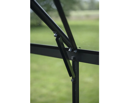 Detailansicht eines Gewächshausfensters mit schwarzem Rahmen