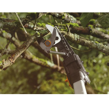 Astschere beim Schneiden eines Astes