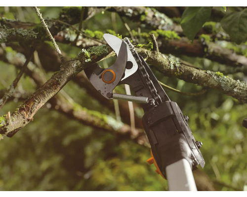 Astschere beim Schneiden eines Astes