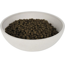 Trockenfutter für Katzen in einer Schale