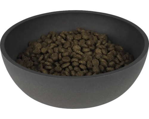 Futternapf gefüllt mit Hundefutter