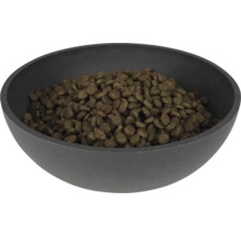 Hundenahrung in einer Futterschale