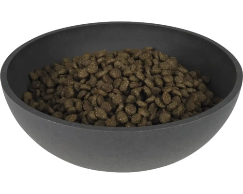 Hundenahrung in einer Futterschale