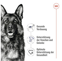 Produktinformationen zu gesundheitlichen Vorteilen von Hundefutter mit Deutscher Schäferhund auf dem Bild.