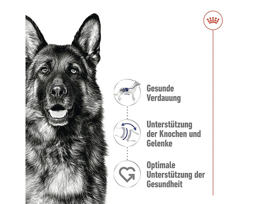 Produktinformationen zu gesundheitlichen Vorteilen von Hundefutter mit Deutscher Schäferhund auf dem Bild.