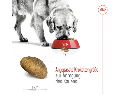 Ein Hund frisst Trockenfutter aus einem Napf. Eine einzelne Krokette ist abgebildet und daneben steht die Information zur angepassten Kroketten Größe zur Anregung des Kauens.
