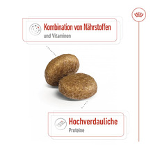 Zwei Kroketten Hundefutter mit Nährstoff und Vitaminkombination sowie hochverdaulichem Protein