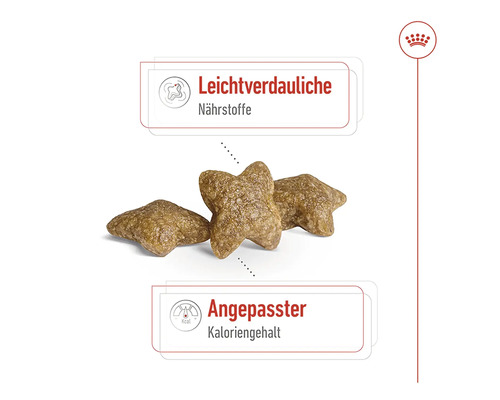 Hundefutter mit leicht verdaulichen Nährstoffen und angepasstem Kaloriengehalt